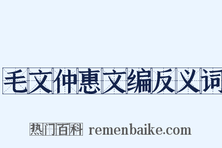 毛文仲惠文编反义词是什么意思的图片